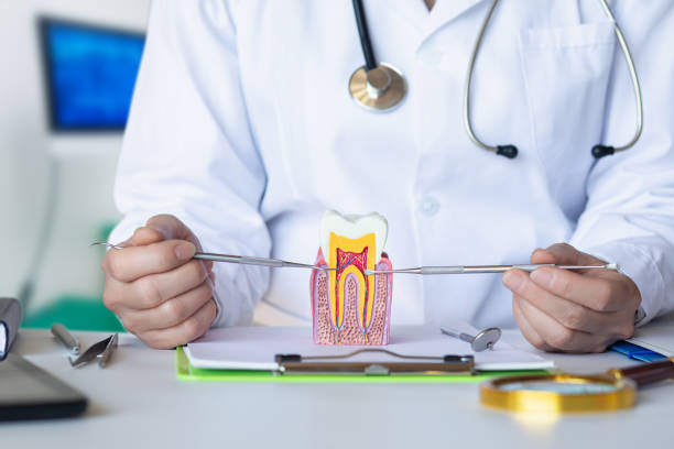 Best Same-Day Emergency Dental Services in Versailles, KY